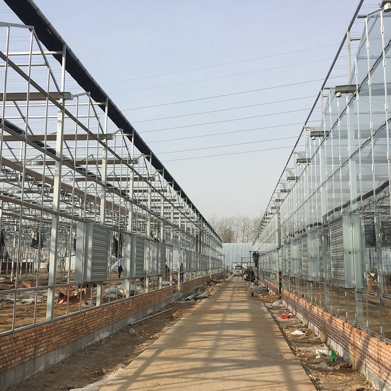 Litai--high quality greenhouse plastic sheet/PC sheet greenhouse