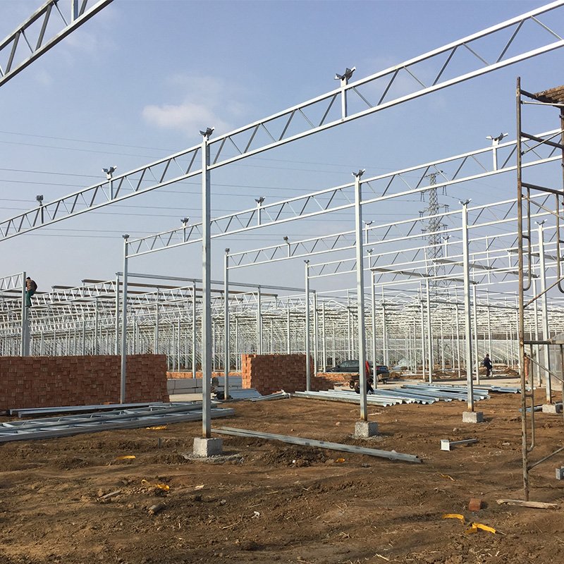 Litai--high quality greenhouse plastic sheet/PC sheet greenhouse