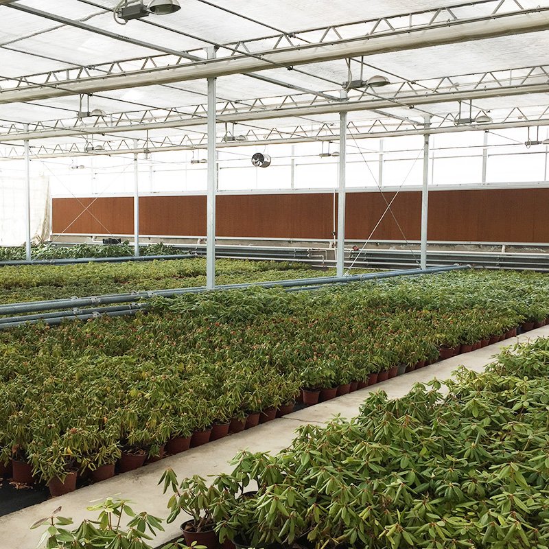 Litai--high quality greenhouse plastic sheet/PC sheet greenhouse