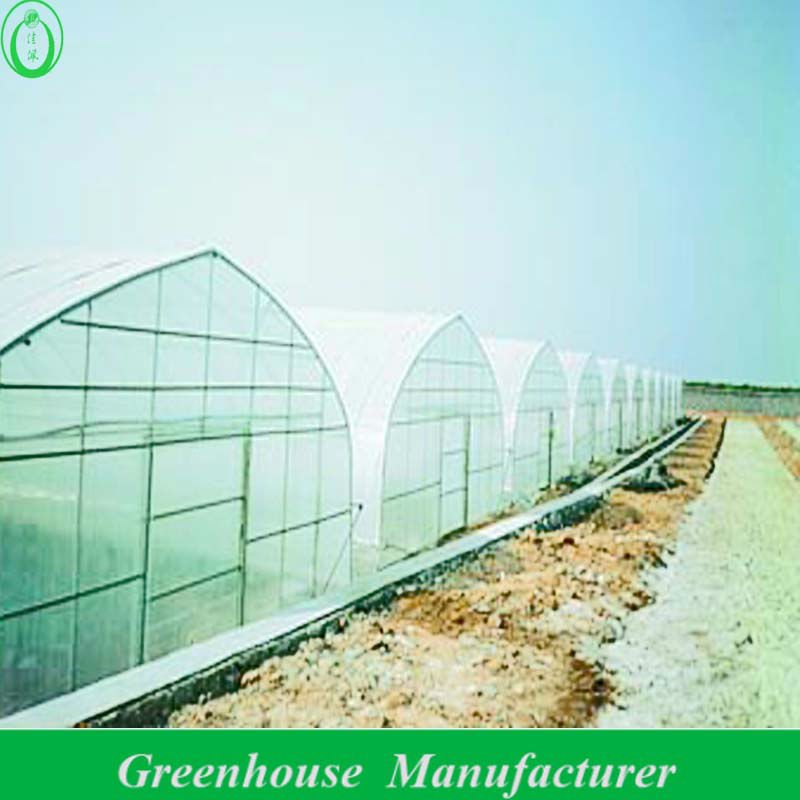 Jiapei commercial plastic single span greenhouses