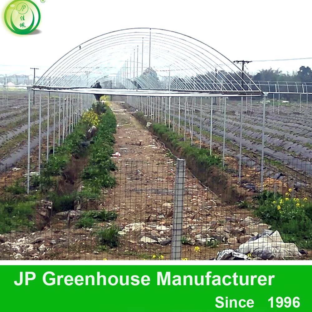 Jiapei commercial plastic single span greenhouses