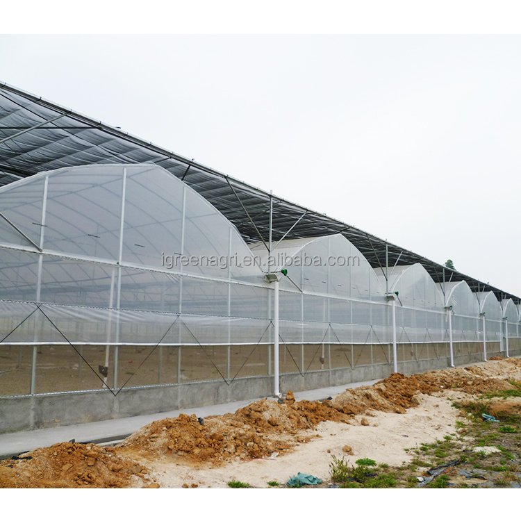 IGreen serre agricole agriculture greenhouse thailand africa greenhouse