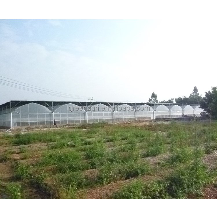 IGreen serre agricole agriculture greenhouse thailand africa greenhouse