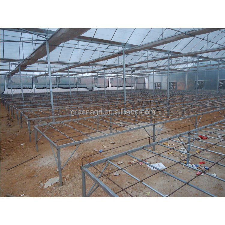 IGreen serre agricole agriculture greenhouse thailand africa greenhouse