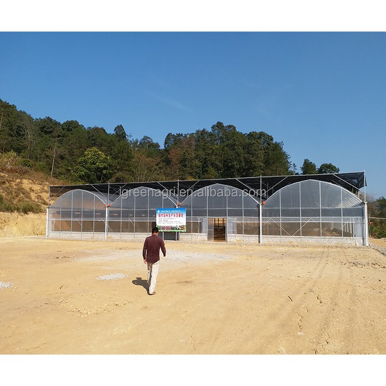 IGreen serre agricole agriculture greenhouse thailand africa greenhouse