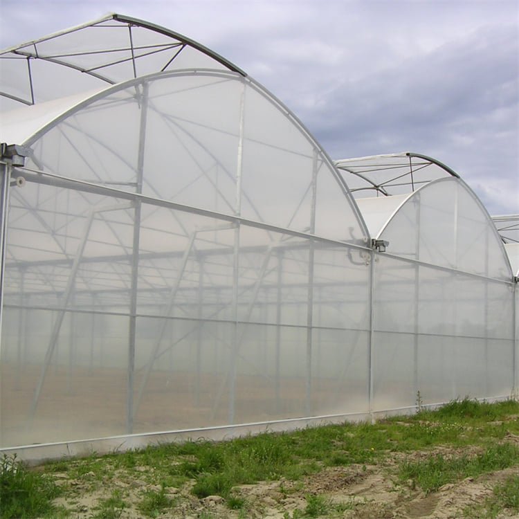 Large Plants Growing High Tunnel Multi Span Plastic Shed Film greenhouse Multi-span Greenhouses For Agriculture