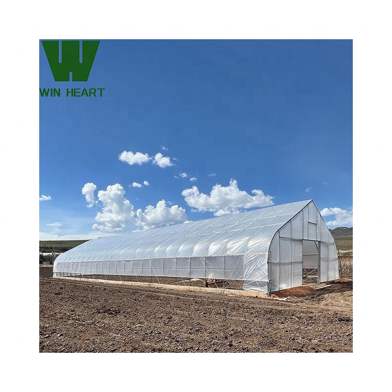 Low cost tunnel green house structure agricultural greenhouse for tomato