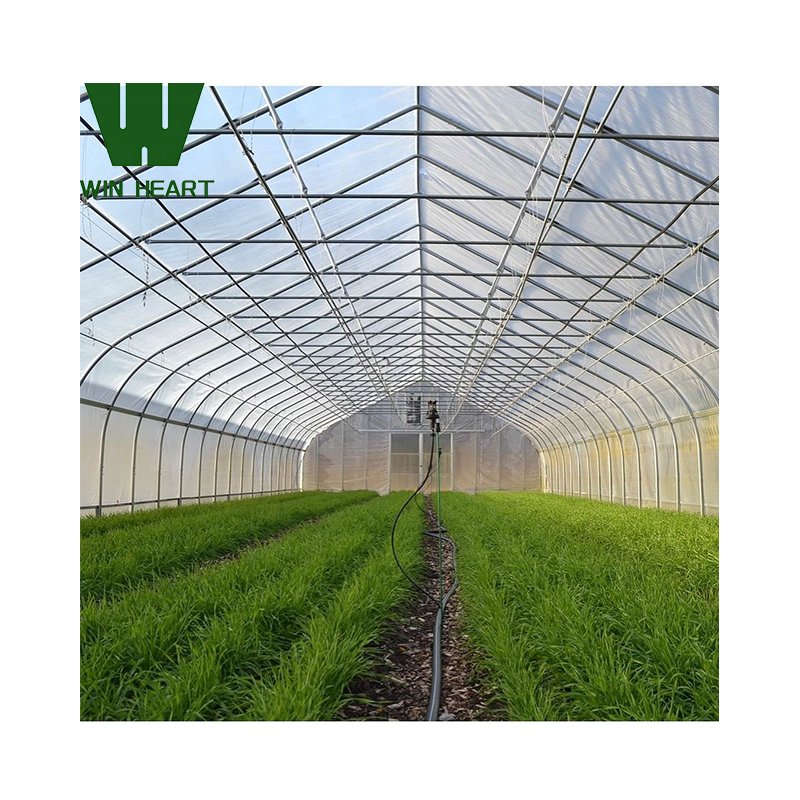 Low cost tunnel green house structure agricultural greenhouse for tomato