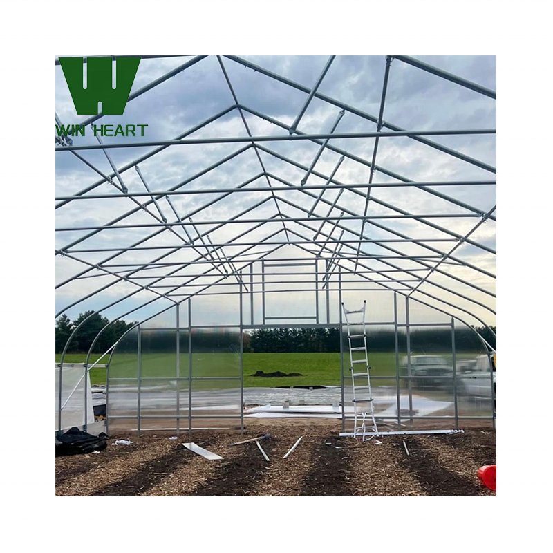 Low cost tunnel green house structure agricultural greenhouse for tomato