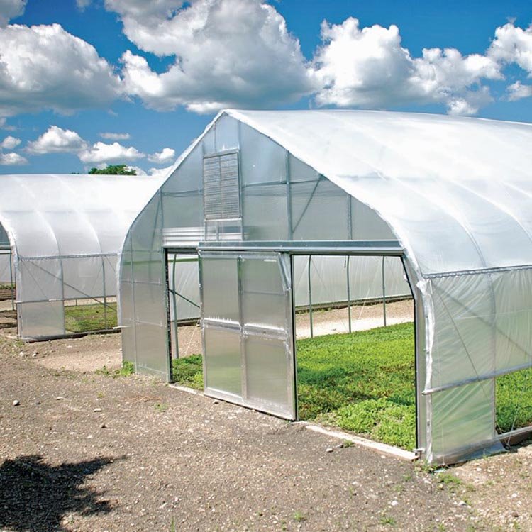 One one Hot sale single span agricultural used commercial greenhouse in America