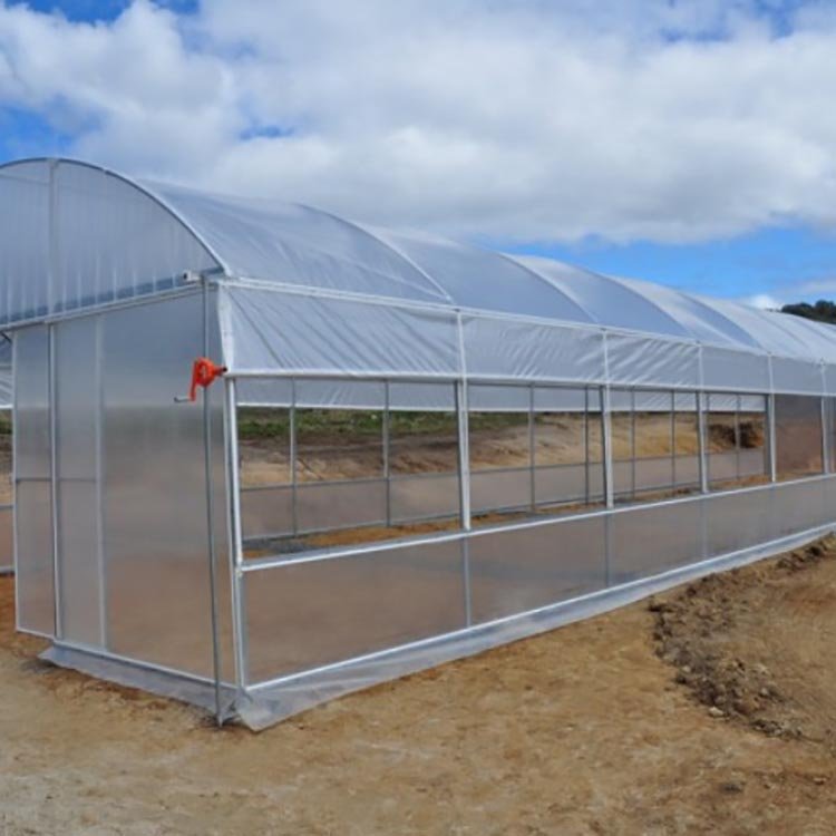 One one Hot sale single span agricultural used commercial greenhouse in America