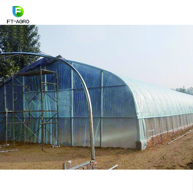 Greenhouse Single-Span Film Materials Agricultural Vegetables Greenhouses