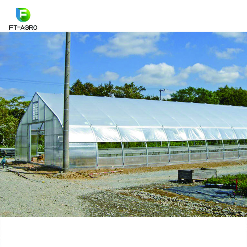 Greenhouse Single-Span Film Materials Agricultural Vegetables Greenhouses