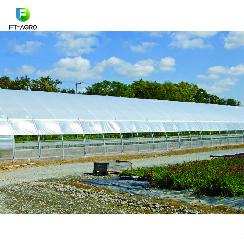 Greenhouse Single-Span Film Materials Agricultural Vegetables Greenhouses