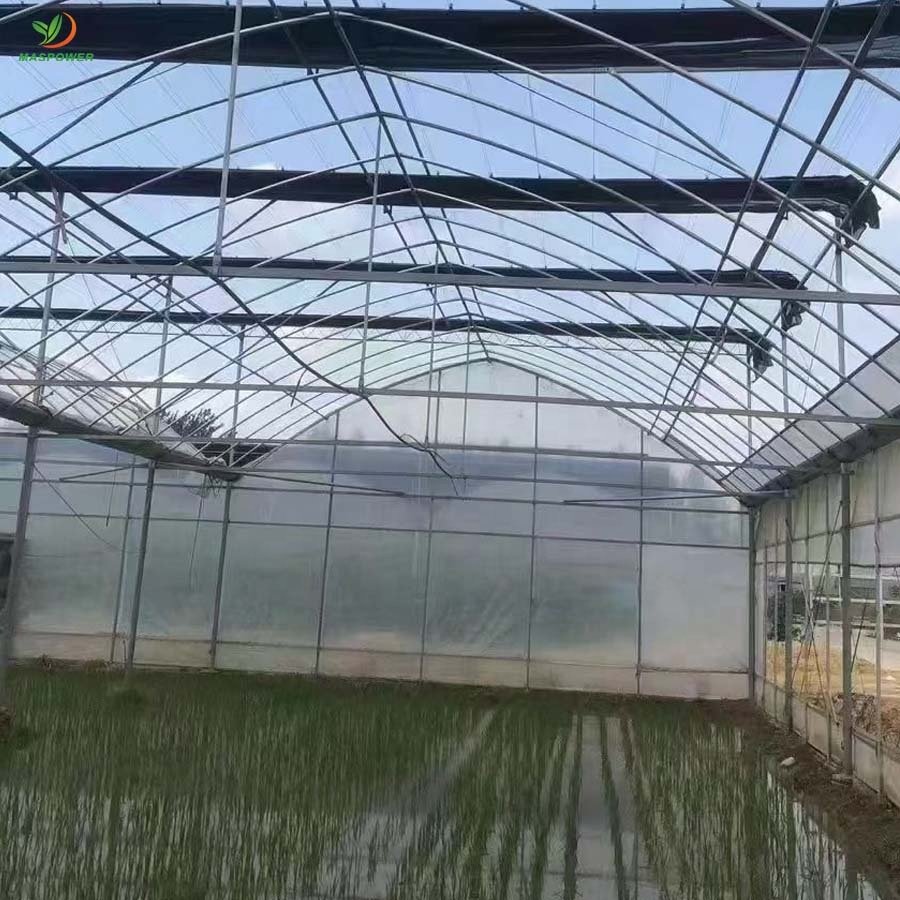 Plastic high tunnel greenhouse for sale , mushroom ,tomato ,letuce, blueberry growing