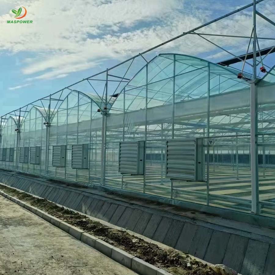Plastic high tunnel greenhouse for sale , mushroom ,tomato ,letuce, blueberry growing