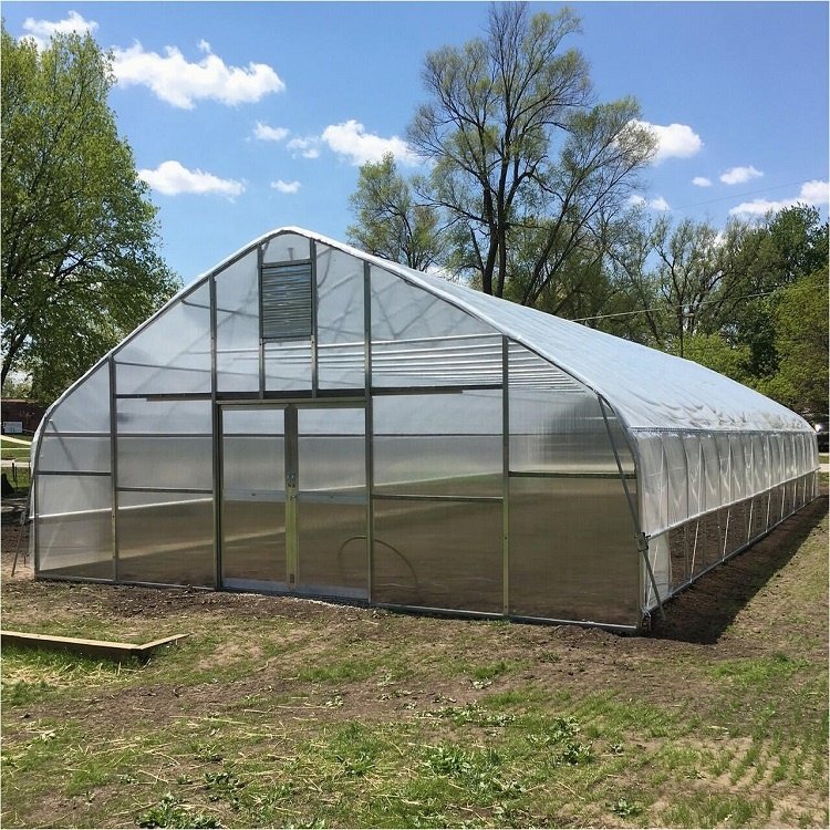 South Africa Greenhouse Agriculture Greenhouse Tunnel Greenhouse