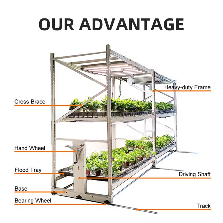 microgreens growing system ebb and flow system rolling bench grow tables grow table flood grow table rolling bench