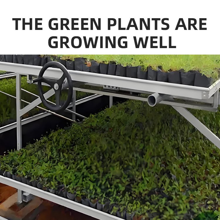 microgreens growing system ebb and flow system rolling bench grow tables grow table flood grow table rolling bench