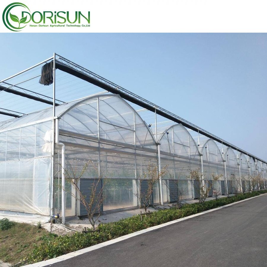 Chinese style galvanizing steel pipe skeleton agricultural green houses portable agriculture productive greenhouse