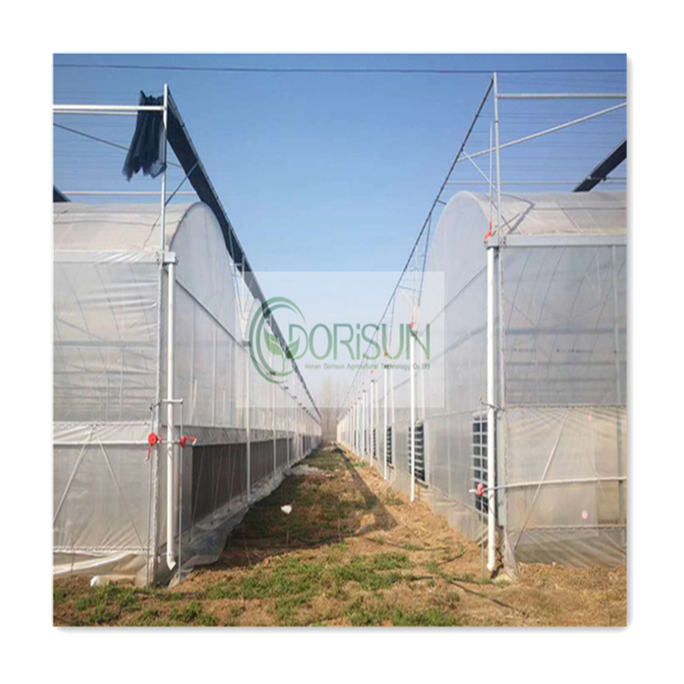 Chinese style galvanizing steel pipe skeleton agricultural green houses portable agriculture productive greenhouse