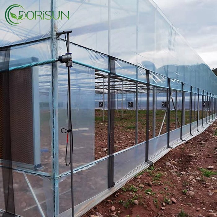 Chinese style galvanizing steel pipe skeleton agricultural green houses portable agriculture productive greenhouse
