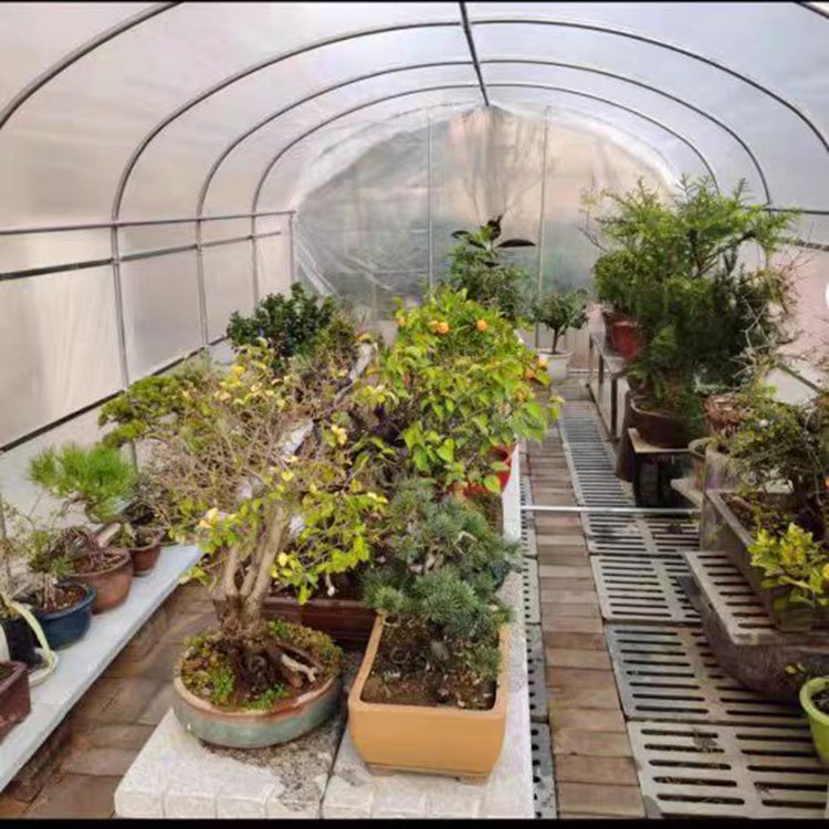 House Film Greenhouses Low Cost Multi-span Plastic Agricultural Greenhouse Garden Green Steel Pipe GN Large Arch Single Layer