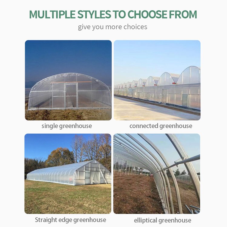 House Film Greenhouses Low Cost Multi-span Plastic Agricultural Greenhouse Garden Green Steel Pipe GN Large Arch Single Layer