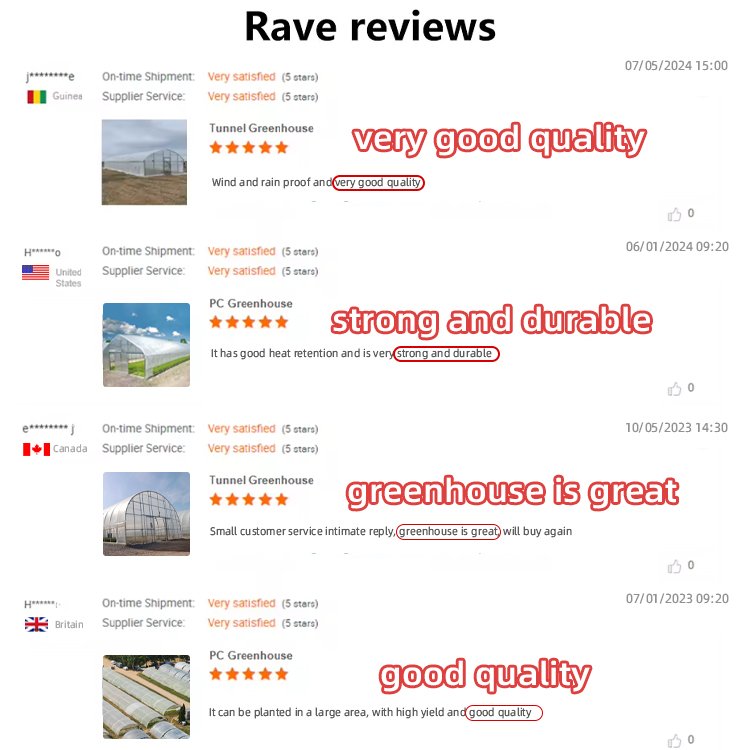 House Film Greenhouses Low Cost Multi-span Plastic Agricultural Greenhouse Garden Green Steel Pipe GN Large Arch Single Layer