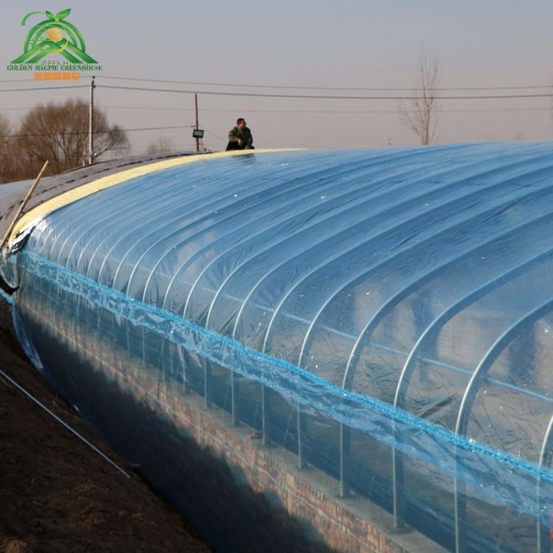 Hot sale PE Green house Film Agricultural Polyethylene Greenhouse Plastic Film