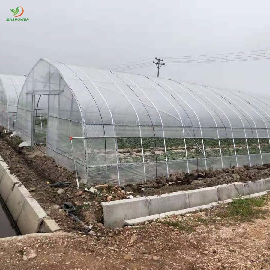 Sizes customizable mini garden greenhouses for your own plants, flowers, herbs, lettuce and fruit