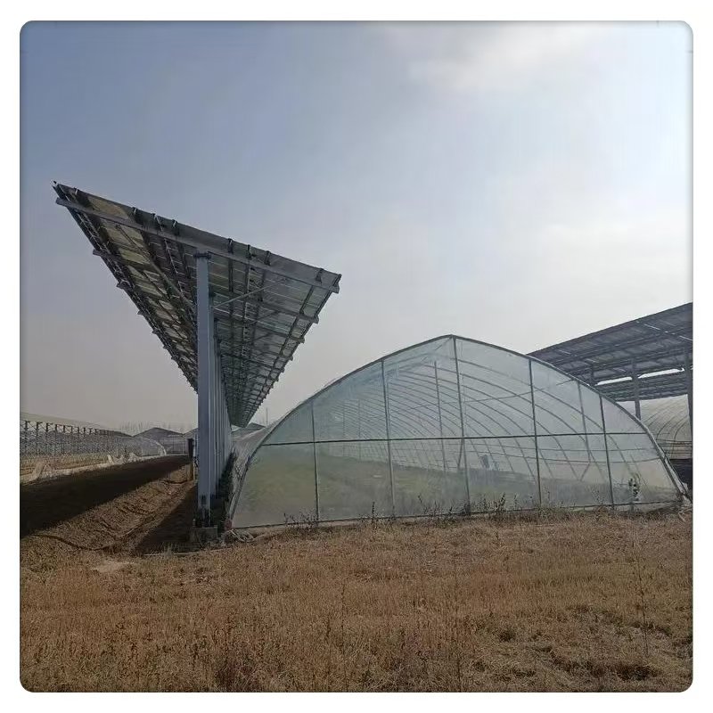 High Quality Custom Large Size Arched Single Shed Greenhouse Film PE Material for Plant Growing Greenhouse Film for Agriculture