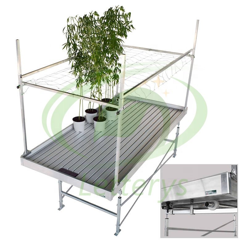 Agricultural Greenhouse Hydroponic 5X10 Indoor Planting Ebb and Flow Rolling Bench Tray Grow Table