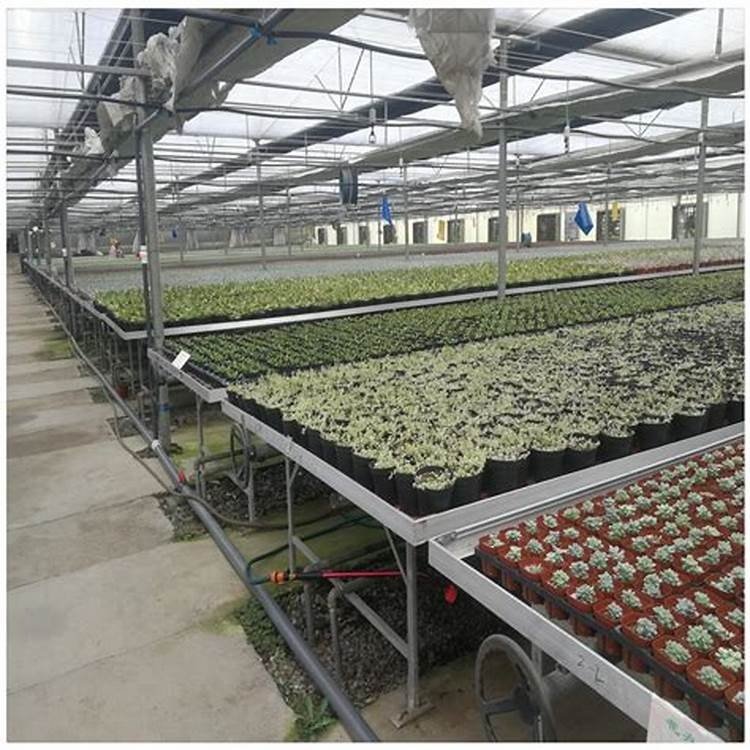 Agricultural Greenhouse Hydroponic 5X10 Indoor Planting Ebb and Flow Rolling Bench Tray Grow Table