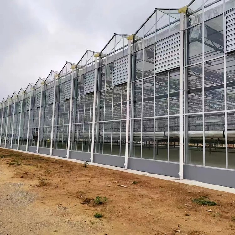 Smart Agricultural Multi-Span Venlo Glass Greenhouse Solar Photovoltaic Greenhouse vegetable fruit planting glass greenhouse