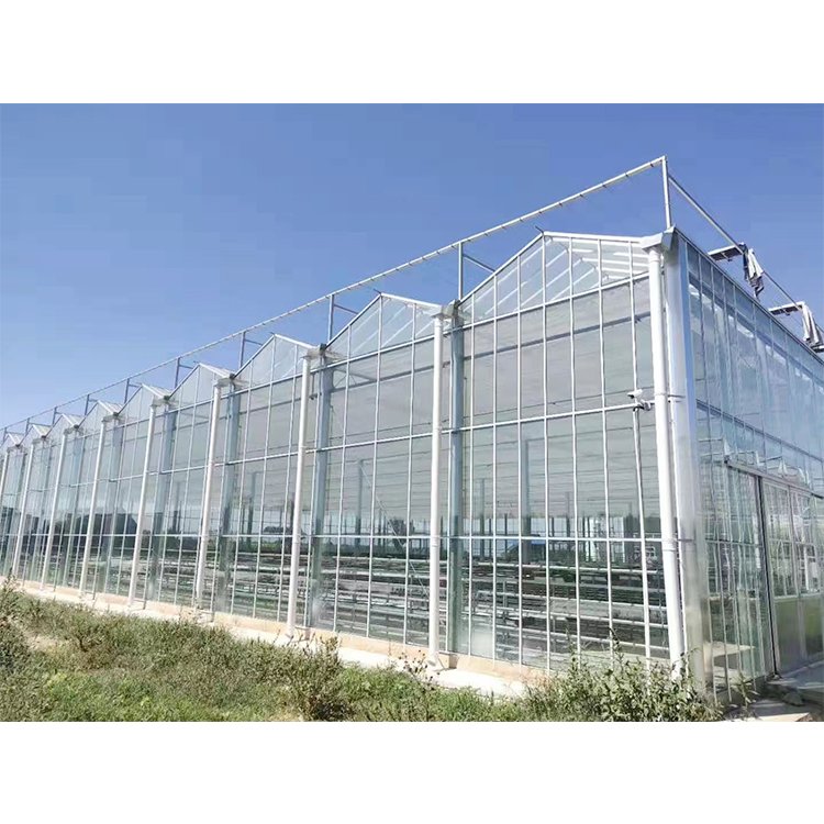 Smart Agricultural Multi-Span Venlo Glass Greenhouse Solar Photovoltaic Greenhouse vegetable fruit planting glass greenhouse