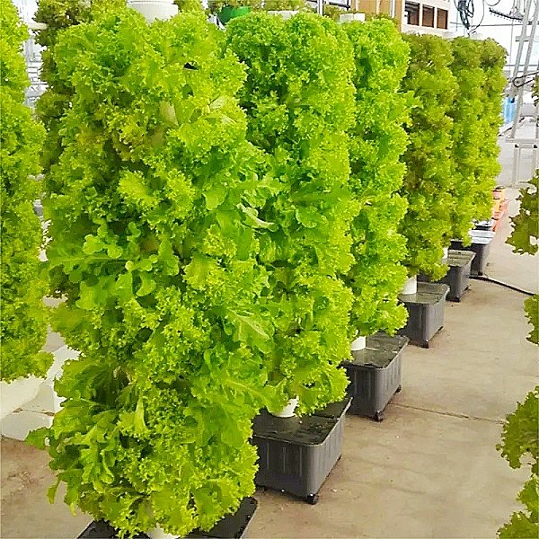 Large Vertical Hydroponic Tower System Double Layer PE Material for Agriculture Greenhouse Balcony Garden with Motor Ventilation
