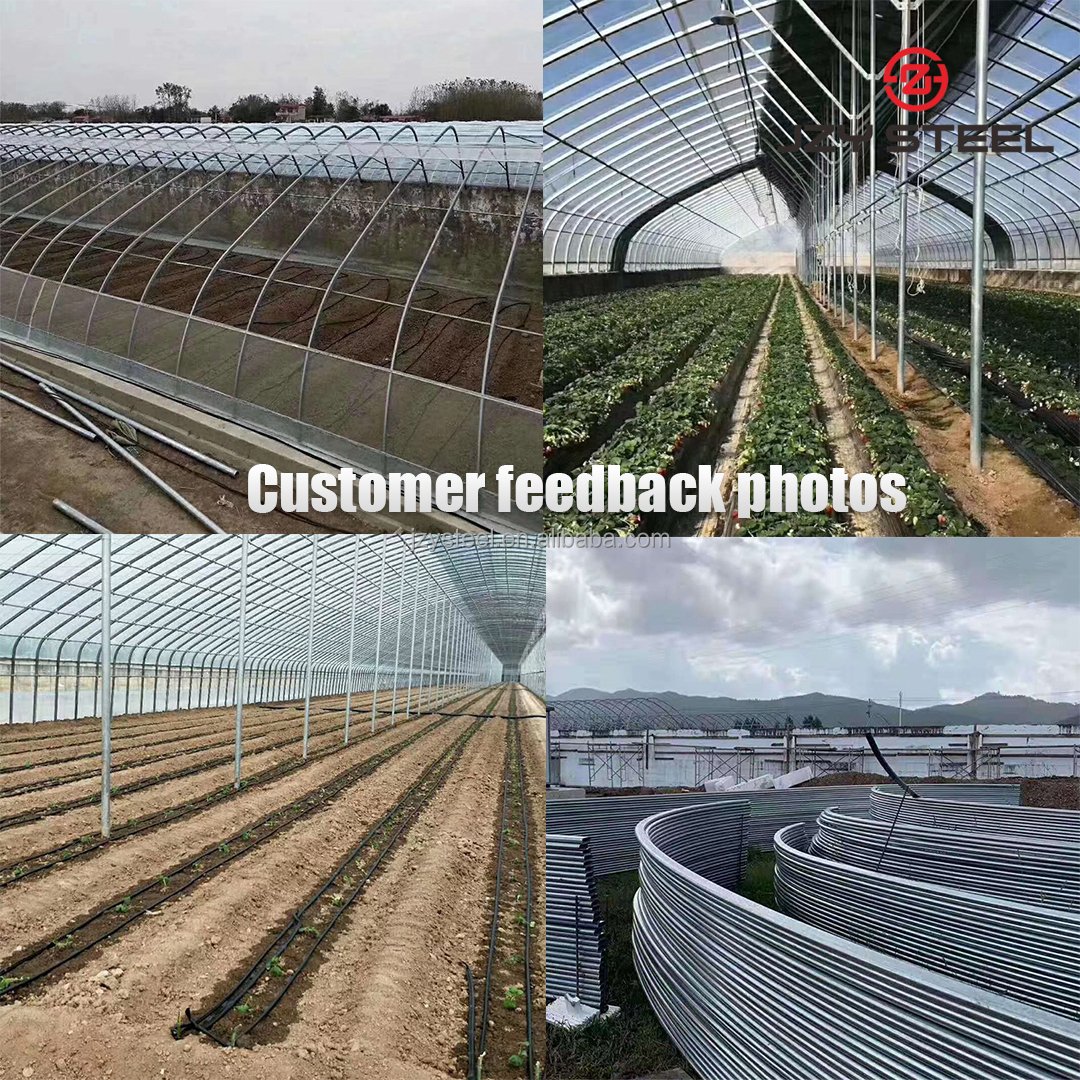 2022 multi-span green house structure agricultural greenhouse