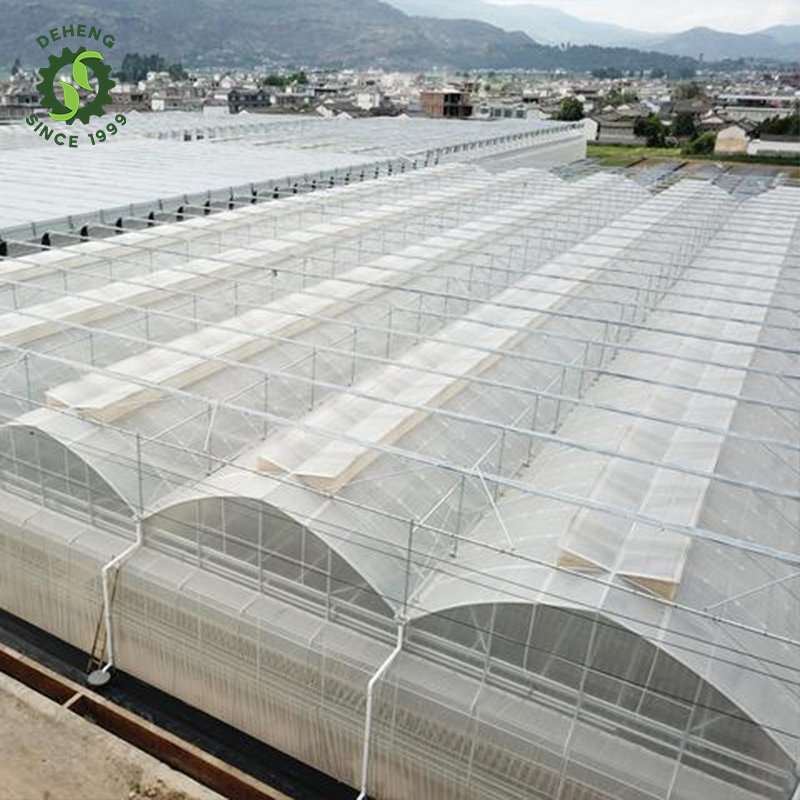 Durable Using Cheap Price Inexpensive Agricultural Greenhouses Vegetable Growing Film Greenhosuse