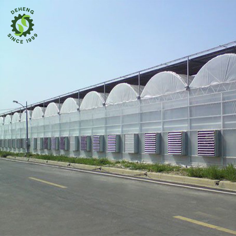 Durable Using Cheap Price Inexpensive Agricultural Greenhouses Vegetable Growing Film Greenhosuse