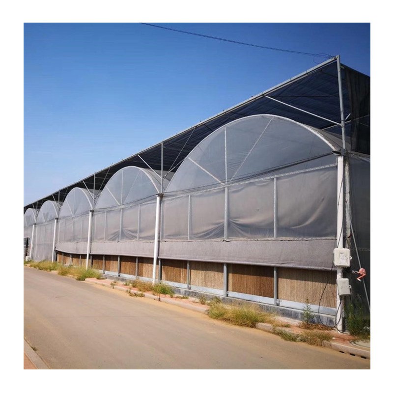 Plastic film round arch high ventilation greenhouse multi-span agriculture greenhouse for sale
