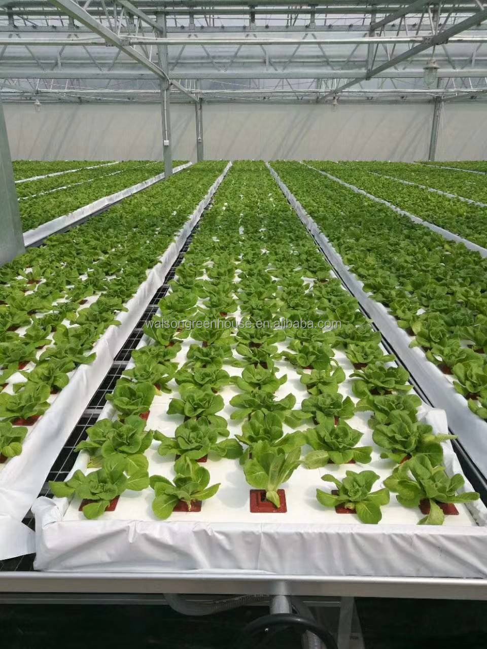 ABS 1.22x2.44m Tables Trays System Agriculture Greenhouse Planting Ebb And Flow Growing Rolling Bench Table