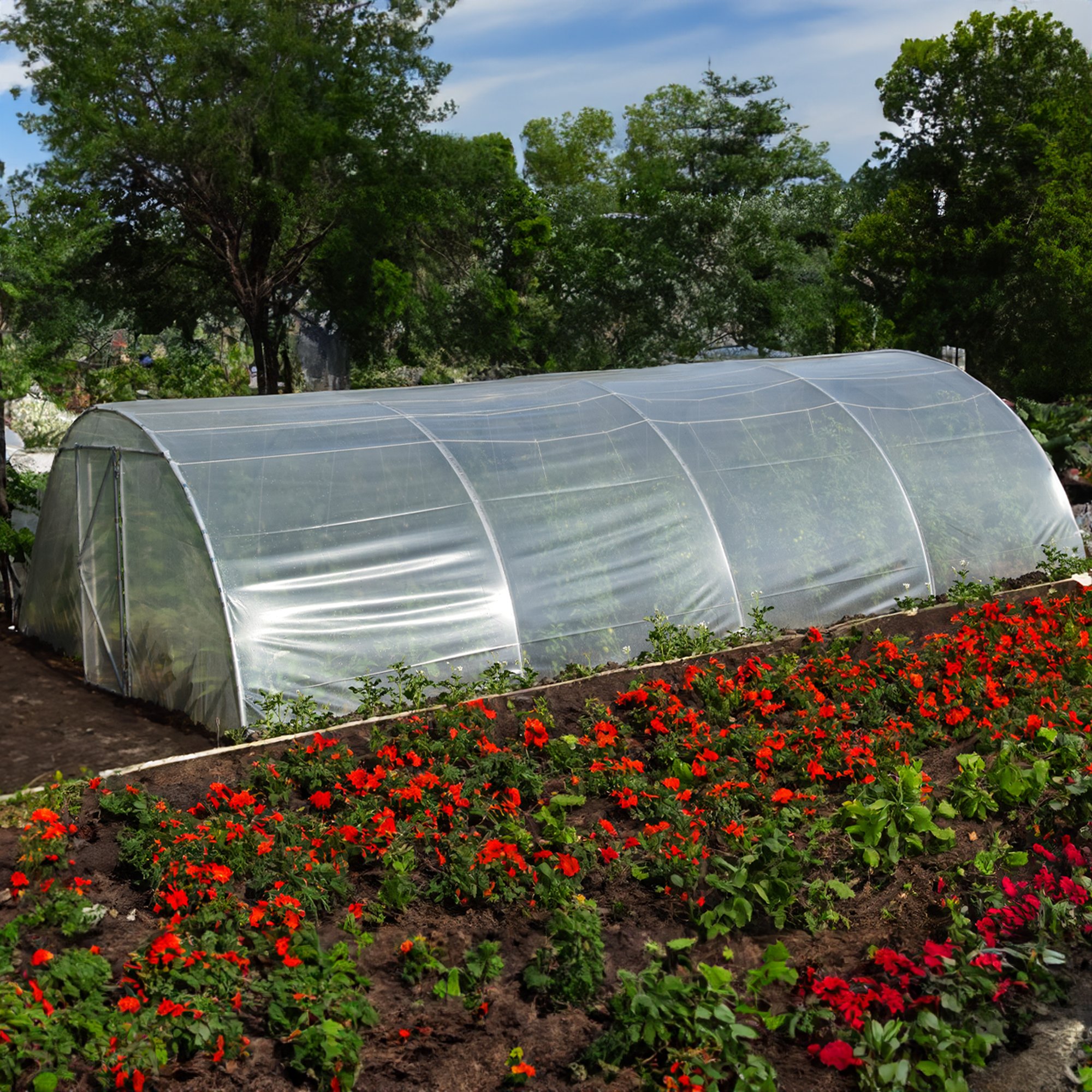 Good Quality & Easy to Assemble Agricultural/Commercial Green House Greenhouse EU PROFI Des Champs