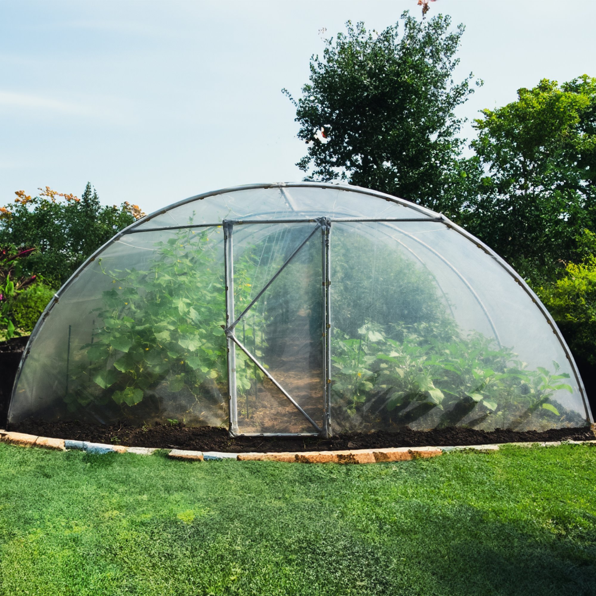 Good Quality & Easy to Assemble Agricultural/Commercial Green House Greenhouse EU PROFI Des Champs