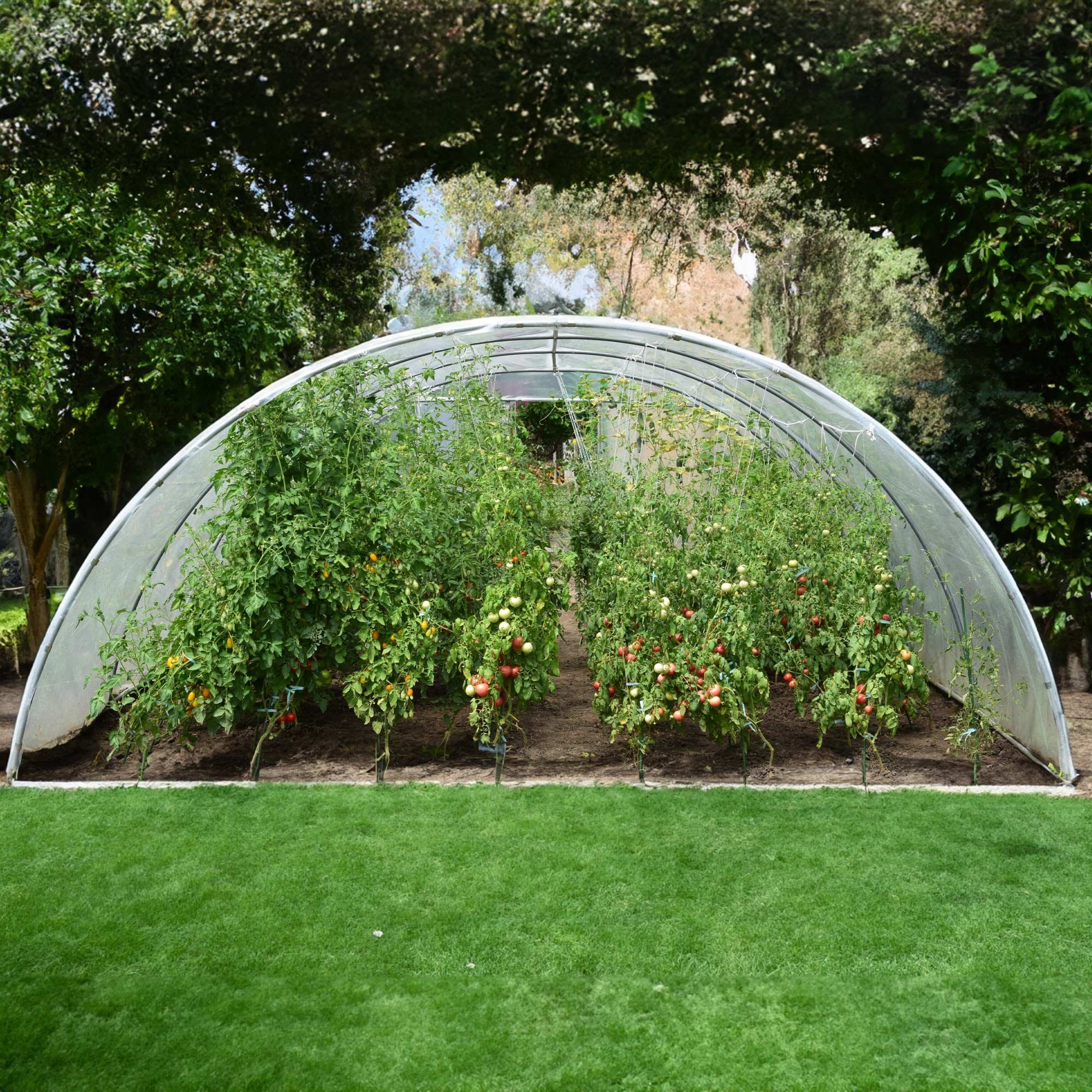 Good Quality & Easy to Assemble Agricultural/Commercial Green House Greenhouse EU PROFI Des Champs