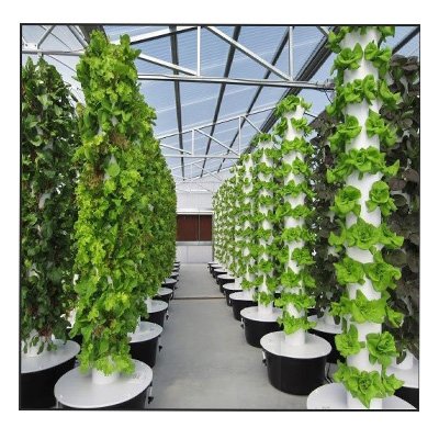 Agricultural Greenhouse Custom Horticultural Aeroponic Growing Towers Hydroponics Vertical Garden Systems