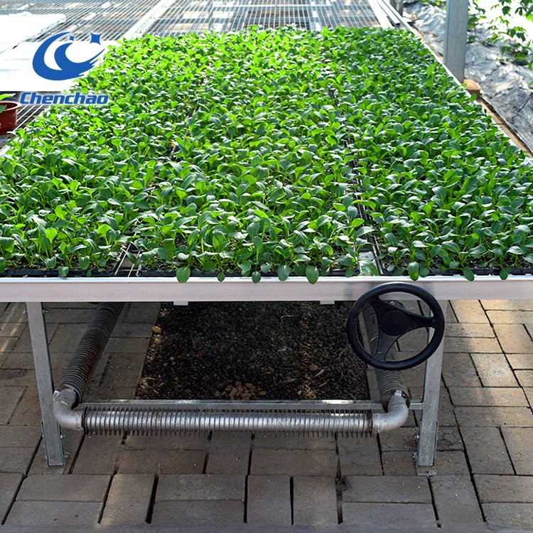 Low cost hot sale agricultural tunnel greenhouse seedbed bench system