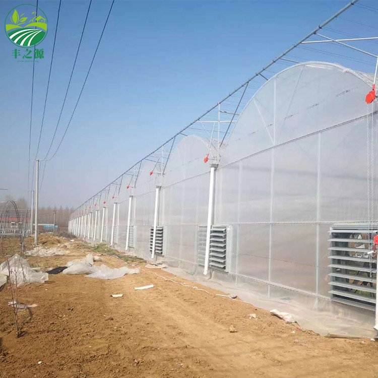 Factory wholesale External sunshade steel frame Commercial Multi Span film Greenhouse