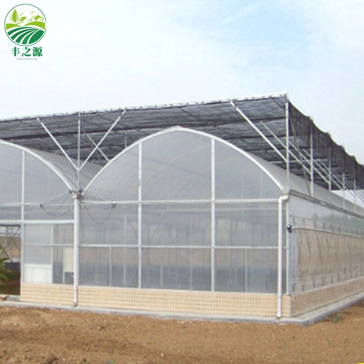 Factory wholesale External sunshade steel frame Commercial Multi Span film Greenhouse