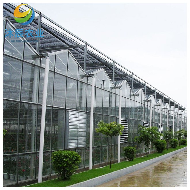 Multifunction Multi-span Venlo Glass Greenhouse For Flowers